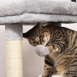PawHut Cat Tree Climbing Activity Center w/ Scratching Massage Toy Hanging Ball - Additional view 6
