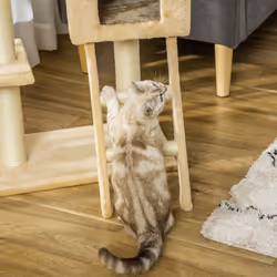 PawHut Cat Tree for Indoor Cats Scratching Post w/ Hammock House Bed Basket - Additional view 6