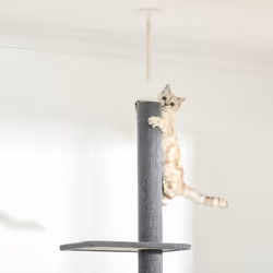PawHut 260cm Floor To Ceiling Cat Tree Kitten Tower w/ Adjustable Height - Grey - Additional view 6