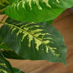 HOMCOM Artificial Evergreen Tree Fake Plant in Pot Indoor Decor - Additional view 5