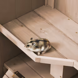 PawHut Wooden Hamster Cage, 3-Tier Roden Small Animals Hutch, 99 x 50 x 69 cm - Additional view 7