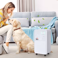 HOMCOM 2L Portable Quiet Dehumidifier, 12L/Day Electric Air De-Humidifier