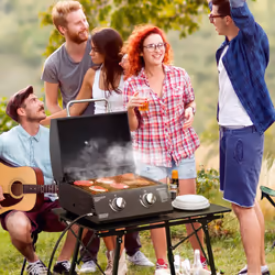 Outsunny Portable Tabletop Gas BBQ Grill Barbecue w/ 2 Burner Lid