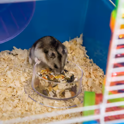 PawHut Hamster Cage w/ Water Bottle, Exercise Wheel, Tubes, Ramps - Blue - Additional view 7