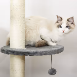 PawHut Cat Tree, Kitten Play Tower w/ Solid Scratching Post, Light Grey