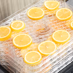 HOMCOM 5 Tier Food Dehydrator, 245W for Drying Fruit, Meat, Vegetable, Black - Additional view 6