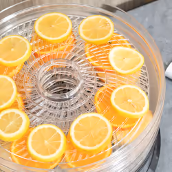 HOMCOM 5 Tier Food Dehydrator, 250W for Fruit, Meat, Vegetable, LCD Display - Additional view 5