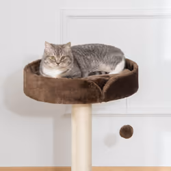 PawHut Small Cat Tree for Indoor Cats W/ Sisal Scratching Post Bed Cushion Toy - Additional view 6