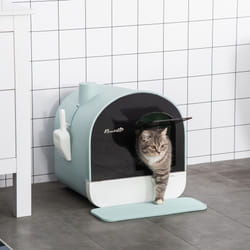 PawHut Cat Litter Box Kitten Litter Tray w/ Lid, Scoop, Filter, Flap Door