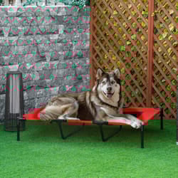PawHut Elevated Dog Bed Cooling Raised Pet Cot for Indoor Outdoor Use, XX Large