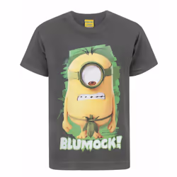 Despicable Me Minions T-Shirt Kids Boys Girls Character Charcoal Top - 3-4 Years