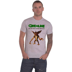 Gremlins Stripe Do Not Feed T Shirt - XXL, Grey