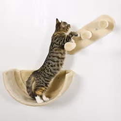 PawHut 4PCs Wall Mounted Cat Tree Cat Wall Shelves W/ Scratching Post Beige - Additional view 6