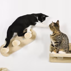 PawHut 4PCs Wall Mounted Cat Tree Cat Wall Shelves W/ Scratching Post Beige - Additional view 7