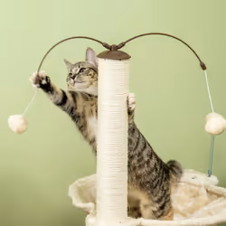 PawHut Cat Tree for Indoor Cats w/ Scratching Posts Hammock, Toy Ball - Beige - Additional view 6