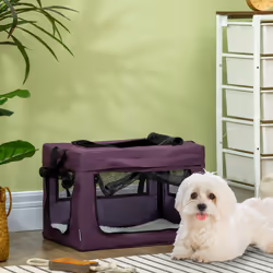 PawHut 48.5cm Soft Side Pet Carrier w/ Cushion, for Miniature Dogs - Purple