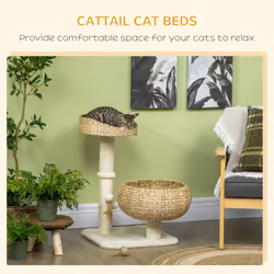 PawHut 72cm Cat Activity Centre w/ Two Bed, Toy Ball, Sisal Scratching Post