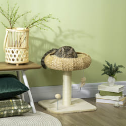 PawHut 51cm Cat Activity Centre w/ Top Bed, Toy Ball, Sisal Scratching Post