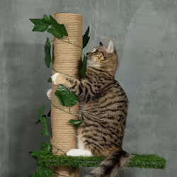 PawHut 242cm Adjustable Floor-To-Ceiling Cat Tower w/ Anti-Slip Kit - Green - Additional view 7