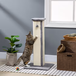 PawHut 81cm Cat Scratching Post w/ Sisal Rope, Hanging Ball, Soft Plush - Grey