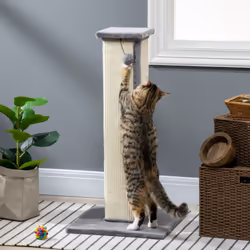 PawHut 81cm Cat Scratching Post w/ Sisal Rope, Hanging Ball, Soft Plush - Grey - Additional view 5
