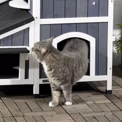 PawHut Wooden Outdoor Cat House w/ Flower Pot, Windows, Multiple Entrances - Additional view 6
