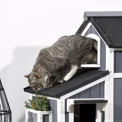 PawHut Wooden Outdoor Cat House w/ Flower Pot, Windows, Multiple Entrances - Additional view 7