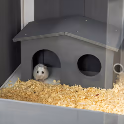 PawHut Wooden Hamster Cage for Dwarf Hamsters, Gerbils, Rutin Chicken w/ Shelf - Additional view 7