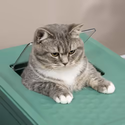 PawHut Hooded Cat Litter Box, Pet Toilet w/ Scoop, Tray - Green - Additional view 6
