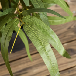 HOMCOM Potted Artificial Plants Bamboo Tree for Desk Indoor Outdoor, 60cm - Additional view 5