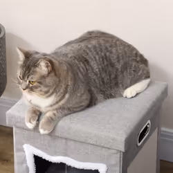 PawHut 2 in 1 Cat Bed Ottoman w/ Removable Cushion, Handles, Scratching Pad - Additional view 7