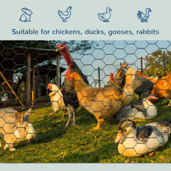 PawHut Foldable Chicken Wire Mesh, for Rabbits, Ducks, Geese, 1 x 25m