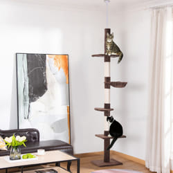 PawHut Floor to Ceiling Cat Tree for Indoor Cats 5-Tier Kitty Tower Brown