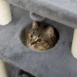 PawHut Cat Tree Kitten Tower w/ Scratching Post, Pad, Light Grey, Ball, Grey - Additional view 5
