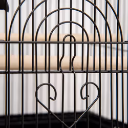 PawHut Metal Bird Cage Small w/ Perch Food Container Handle for Finch Canary - Additional view 8