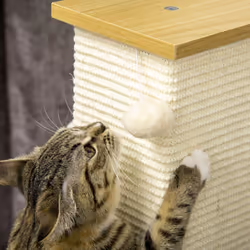 PawHut 80cm Sisal Rope Scratching Post, Cat Scratching Post - White - Additional view 6