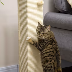 PawHut 80cm Sisal Rope Scratching Post, Cat Scratching Post - White - Additional view 7