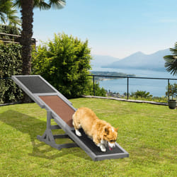 PawHut Wooden Pet Seesaw for Big Dogs with Anti-Slip Surface, Grey