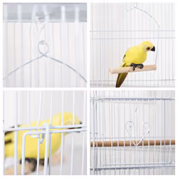 PawHut 92cm Large Bird Cage with Perches, Food Bowls, Swing, White - Additional view 5