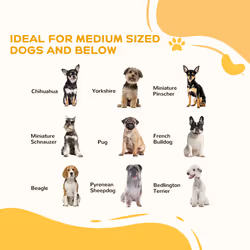 PawHut Foldable Dog Gate, Freestanding Pet Gate with Two Support Feet