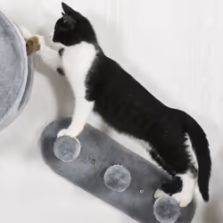 PawHut Cat Wall Furniture with Platforms, Steps, Perch, Cat House - Grey - Additional view 7