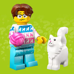 LEGO Series 27 Cat Lover #11 Minifigure 71048 - Without Box