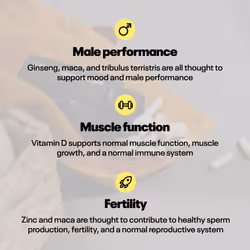 Testosterone Pro - Maca Root, Tribulus Terrestris, Zinc, Ginseng - Testosterone Supplements for Men, Essential Vitamins