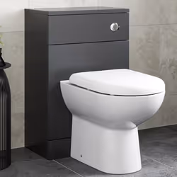Alpine Black Back to Wall Toilet Unit 500 x 300mm