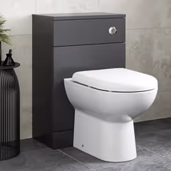 Alpine Black Back to Wall Toilet Unit & D Shape Saturn Toilet 500 x 300mm
