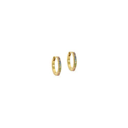 Ted Baker Heplie Crystal Hoop Earrings (14mm outside diameter) For Women (Gold/Rainbow Pastel Crystal)