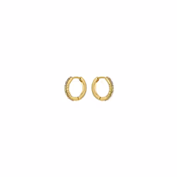 Ted Baker Heplie Crystal Hoop Earrings (14mm outside diameter) For Women (Gold/Rainbow Pastel Crystal)