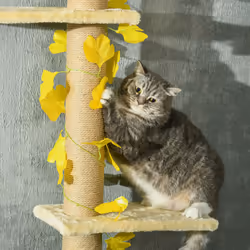 PawHut 242cm Adjustable Floor-To-Ceiling Cat Tower w/ Anti-Slip Kit - Yellow - Additional view 7