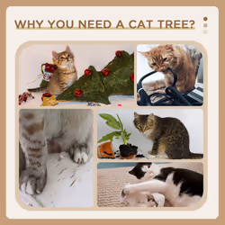 PawHut Cat Tree, 130cm Cat Tree for Indoor Cats, Multi-Level Plush Cat Tower - Additional view 4