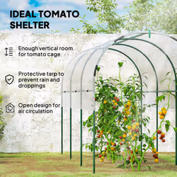 Outsunny Tomato Greenhouse with Top Tap, Pointed Bottom and Guy Ropes, Clear